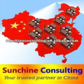 Basic Supplier Verification Service in China